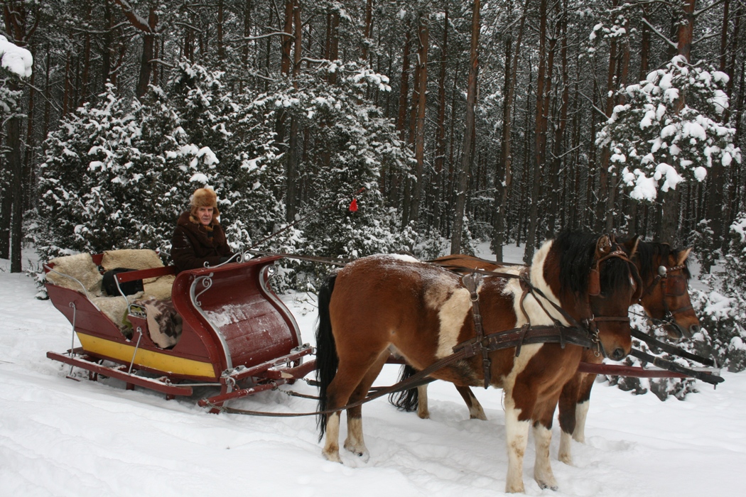 sanie w puszczy 21 sty 2013 009